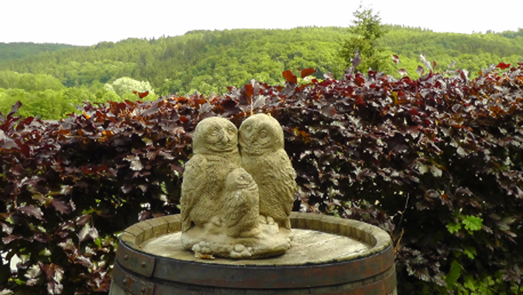 Hotel Kurhaus Uhlenberg in Bad Münstereifel: Eulen